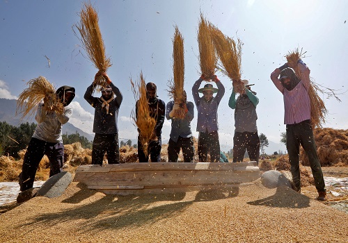 India`s summer-sown rice output expected at more than 100 million tonnes in 2023-24